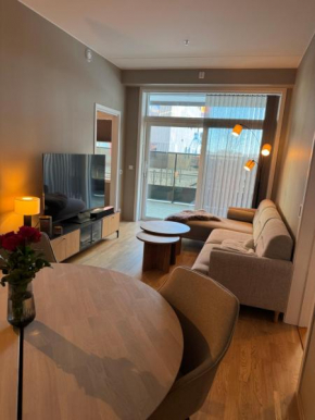 Newly built apartment for World Ski Championship